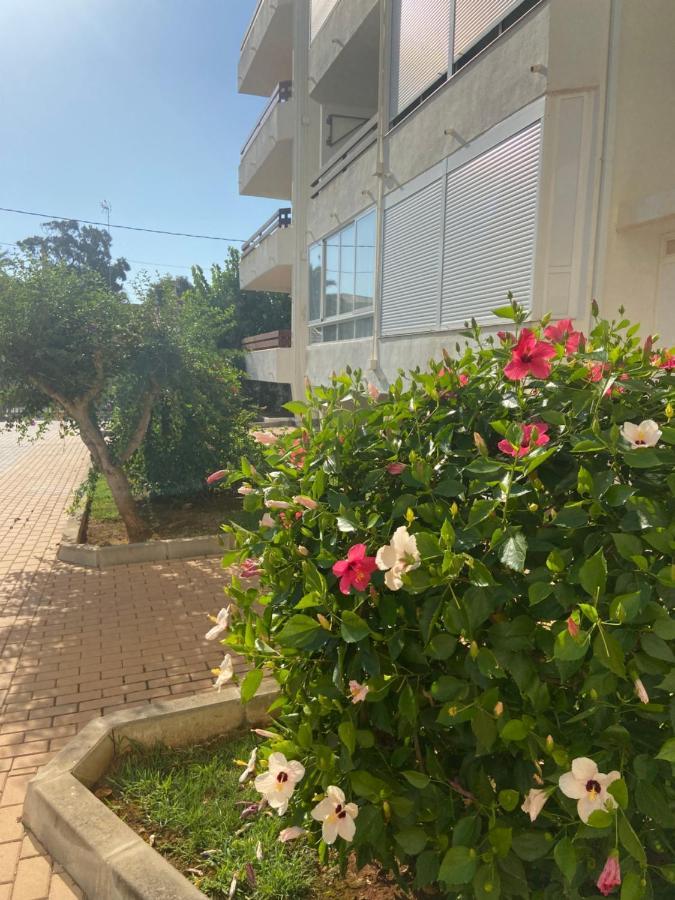 Vistas Al Mar Playa De Los Bovetes Denia Dış mekan fotoğraf