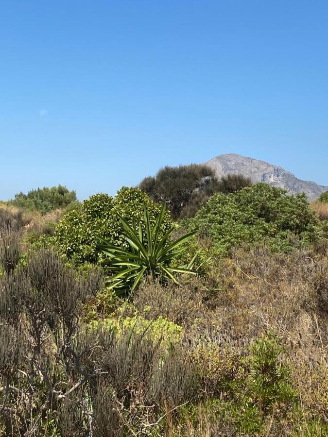 Vistas Al Mar Playa De Los Bovetes Denia Dış mekan fotoğraf